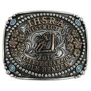 CBE 201 - Corriente Buckle